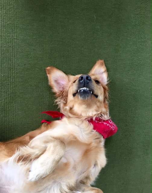 Maggie-Kimble